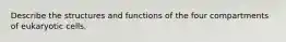 Describe the structures and functions of the four compartments of eukaryotic cells.