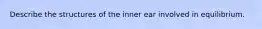 Describe the structures of the inner ear involved in equilibrium.