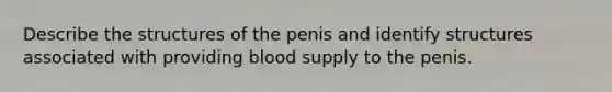 Describe the structures of the penis and identify structures associated with providing blood supply to the penis.