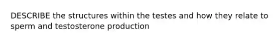 DESCRIBE the structures within the testes and how they relate to sperm and testosterone production