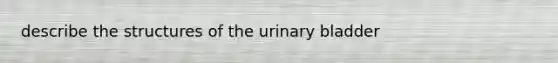 describe the structures of the <a href='https://www.questionai.com/knowledge/kb9SdfFdD9-urinary-bladder' class='anchor-knowledge'>urinary bladder</a>