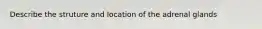 Describe the struture and location of the adrenal glands