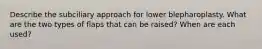 Describe the subciliary approach for lower blepharoplasty. What are the two types of flaps that can be raised? When are each used?