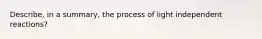 Describe, in a summary, the process of light independent reactions?