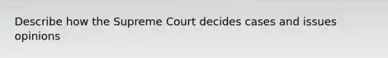 Describe how the Supreme Court decides cases and issues opinions