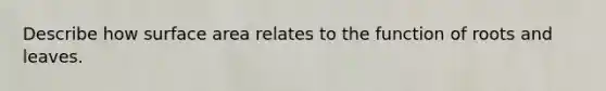 Describe how surface area relates to the function of roots and leaves.