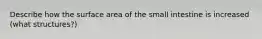 Describe how the surface area of the small intestine is increased (what structures?)