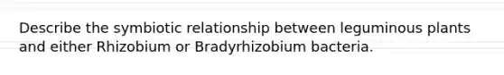 Describe the symbiotic relationship between leguminous plants and either Rhizobium or Bradyrhizobium bacteria.