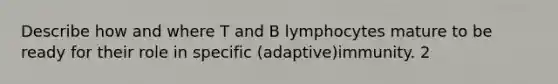 Describe how and where T and B lymphocytes mature to be ready for their role in specific (adaptive)immunity. 2