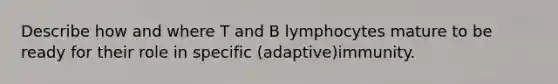 Describe how and where T and B lymphocytes mature to be ready for their role in specific (adaptive)immunity.