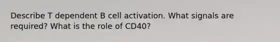 Describe T dependent B cell activation. What signals are required? What is the role of CD40?