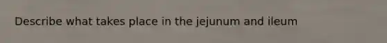 Describe what takes place in the jejunum and ileum