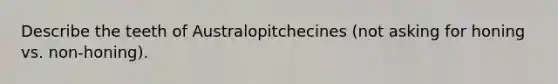 Describe the teeth of Australopitchecines (not asking for honing vs. non-honing).