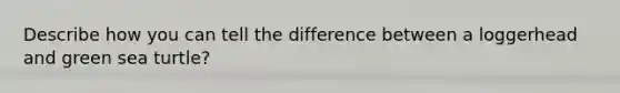 Describe how you can tell the difference between a loggerhead and green sea turtle?