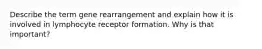 Describe the term gene rearrangement and explain how it is involved in lymphocyte receptor formation. Why is that important?