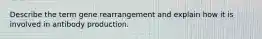 Describe the term gene rearrangement and explain how it is involved in antibody production.