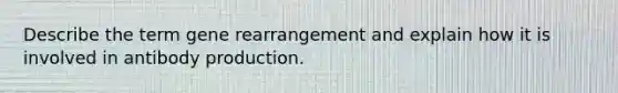 Describe the term gene rearrangement and explain how it is involved in antibody production.