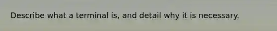 Describe what a terminal is, and detail why it is necessary.