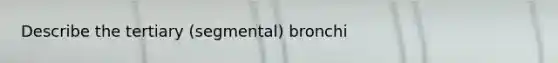 Describe the tertiary (segmental) bronchi