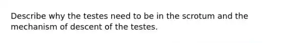 Describe why the testes need to be in the scrotum and the mechanism of descent of the testes.