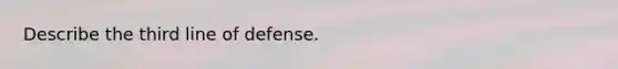 Describe the third line of defense.