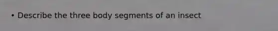 • Describe the three body segments of an insect