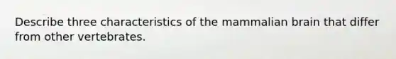 Describe three characteristics of the mammalian brain that differ from other vertebrates.