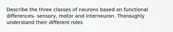 Describe the three classes of neurons based on functional differences- sensory, motor and interneuron. Thoroughly understand their different roles