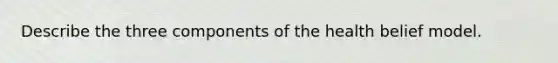 Describe the three components of the health belief model.
