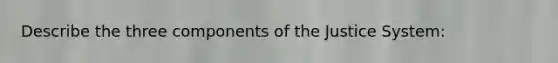 Describe the three components of the Justice System: