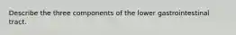 Describe the three components of the lower gastrointestinal tract.