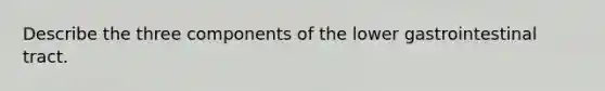 Describe the three components of the lower gastrointestinal tract.