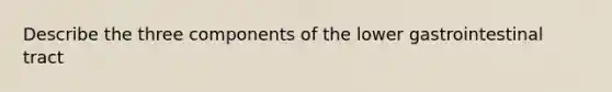 Describe the three components of the lower gastrointestinal tract