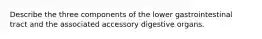 Describe the three components of the lower gastrointestinal tract and the associated accessory digestive organs.