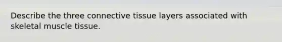 Describe the three connective tissue layers associated with skeletal muscle tissue.