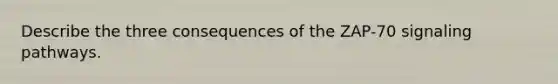 Describe the three consequences of the ZAP-70 signaling pathways.