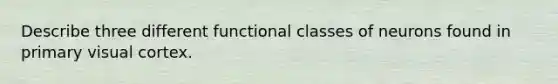 Describe three different functional classes of neurons found in primary visual cortex.