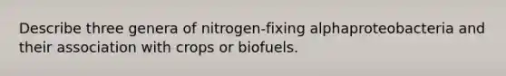 Describe three genera of nitrogen-fixing alphaproteobacteria and their association with crops or biofuels.