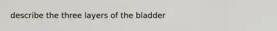 describe the three layers of the bladder