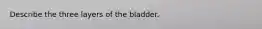 Describe the three layers of the bladder.