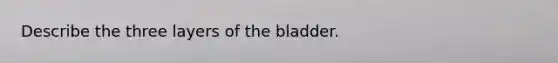 Describe the three layers of the bladder.