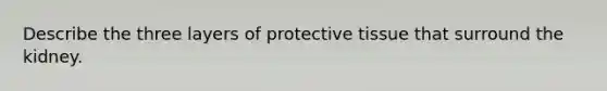 Describe the three layers of protective tissue that surround the kidney.