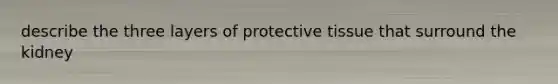 describe the three layers of protective tissue that surround the kidney