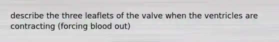 describe the three leaflets of the valve when the ventricles are contracting (forcing blood out)