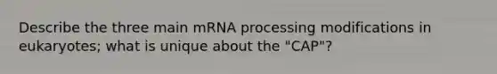 Describe the three main mRNA processing modifications in eukaryotes; what is unique about the "CAP"?