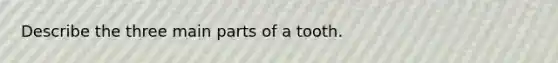 Describe the three main parts of a tooth.