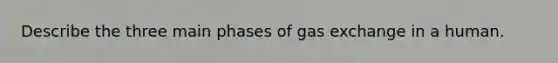 Describe the three main phases of gas exchange in a human.