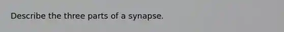 Describe the three parts of a synapse.