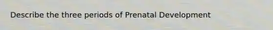 Describe the three periods of Prenatal Development