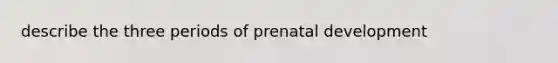 describe the three periods of prenatal development